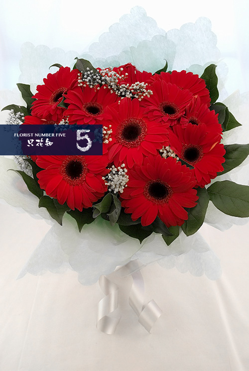 bouquet of red daisies 紅色非洲菊花束